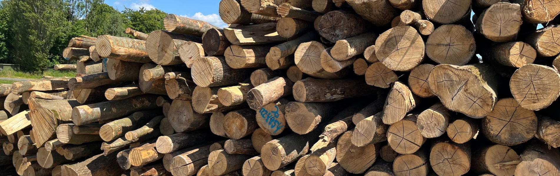 Brennholz aus eigener Produktion